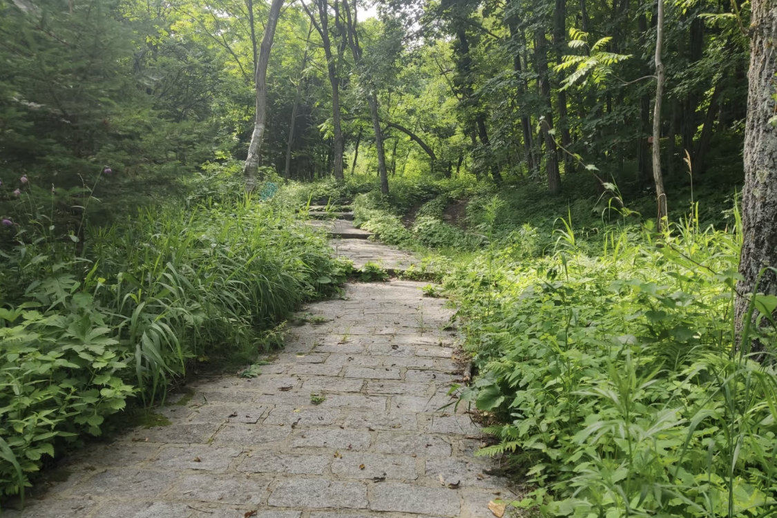 Xidaquan National Forest Park